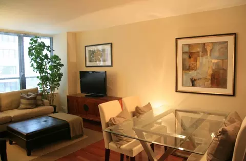 Living - 222 E Pearson St #503, Chicago, IL 60611 photo 1 of 1