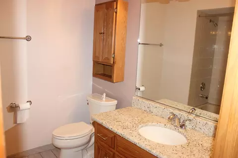 Bath - 4943 E Circle Dr #305, Crestwood, IL 60418 photo 2 of 6