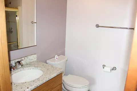 Bath - 4943 E Circle Dr #305, Crestwood, IL 60418 photo 5 of 6