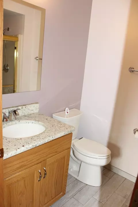 Bath - 4943 E Circle Dr #305, Crestwood, IL 60418 photo 4 of 6