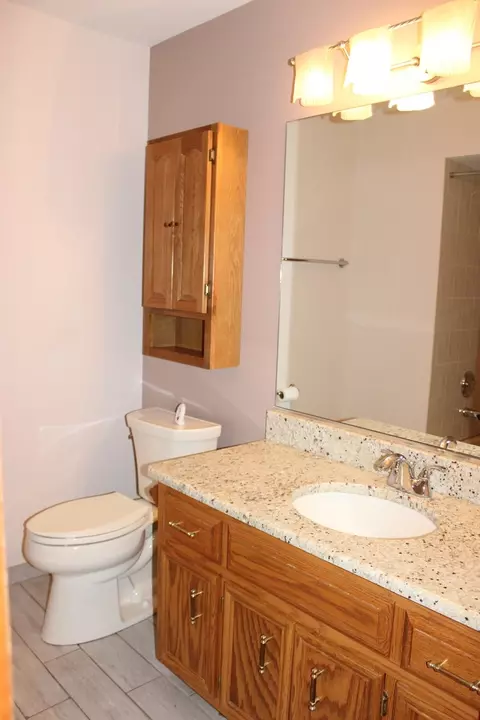 Bath - 4943 E Circle Dr #305, Crestwood, IL 60418 photo 1 of 6