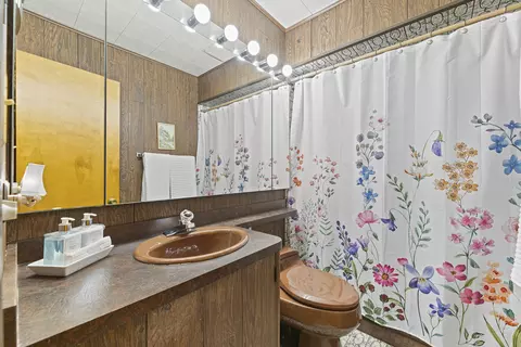 Bath - 1129 Osterman Ave, Deerfield, IL 60015 photo 1 of 2