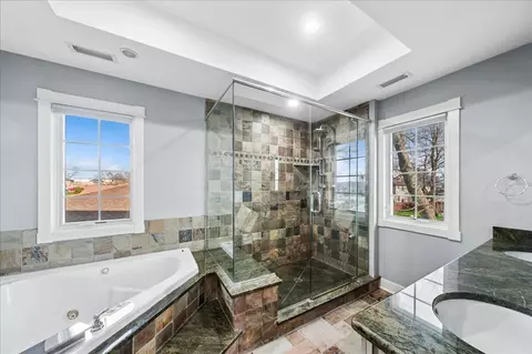 Bath - 4549 E Larch Ave, Glenview, IL 60025 photo 2 of 5