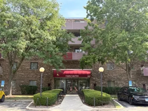 1463 Mercury Dr #408, Schaumburg, IL 60193