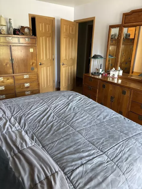 Bedroom - Undisclosed, Hoffman Estates, IL 60192 photo 3 of 4