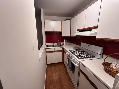 3021 S Michigan Ave #311, Chicago, IL 60616