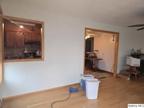 Living - 1741 Linn St, Hamilton, IL 62341 photo 1 of 4