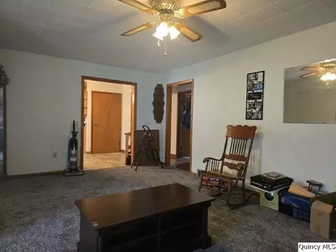Living - 1741 Linn St, Hamilton, IL 62341 photo 4 of 4