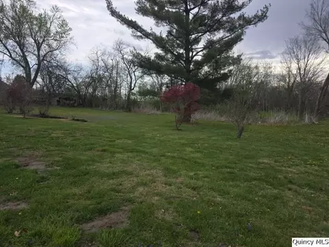 Exterior - 1741 Linn St, Hamilton, IL 62341 photo 6 of 6