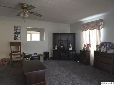 Living - 1741 Linn St, Hamilton, IL 62341 photo 3 of 4