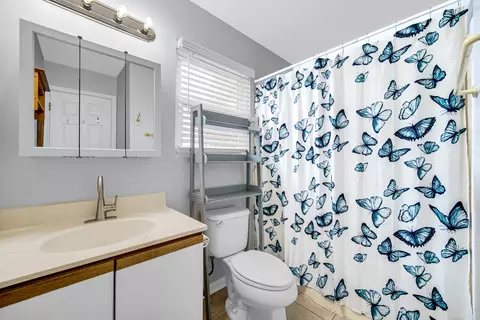 Bath - 371 Cimarron Ct, Aurora, IL 60504 photo 2 of 3
