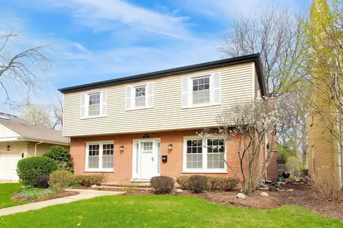 1107 S Hamlin Ave, Park Ridge, IL 60068