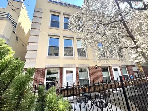 1176 S Plymouth Ct #1NW, Chicago, IL 60605