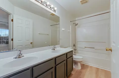 Bath - 24329 Leski Ln, Plainfield, IL 60585 photo 2 of 3