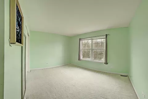 6814 Sahara Dr, Plainfield, IL 60586 photo 35