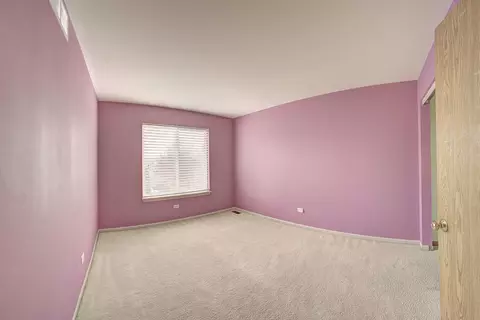 6814 Sahara Dr, Plainfield, IL 60586 photo 34