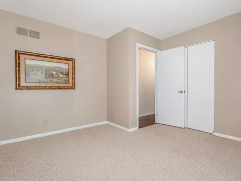 3520 Catfish Ct, Morris, IL 60450 photo 20