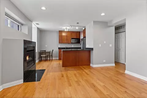 Living - 2307 W Haddon Ave #A, Chicago, IL 60622 photo 1 of 4