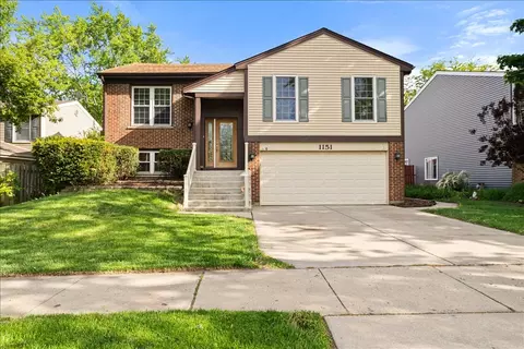 1151 W Bryn Mawr Ave, Roselle, IL 60172