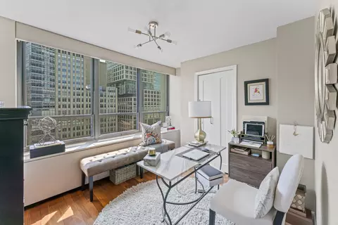Other - 222 E Pearson St #1706, Chicago, IL 60611 photo 3 of 8