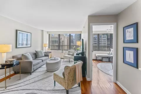 Living - 222 E Pearson St #1706, Chicago, IL 60611 photo 1 of 3