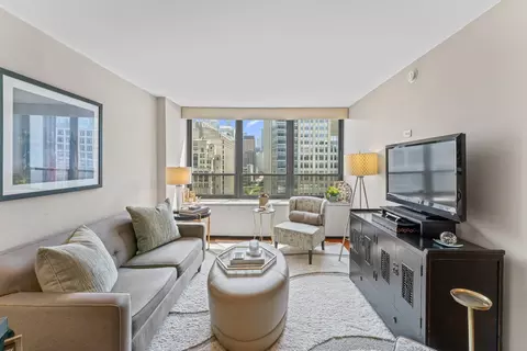 Living - 222 E Pearson St #1706, Chicago, IL 60611 photo 2 of 3