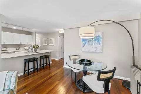 Dining - 222 E Pearson St #1706, Chicago, IL 60611 photo 2 of 3