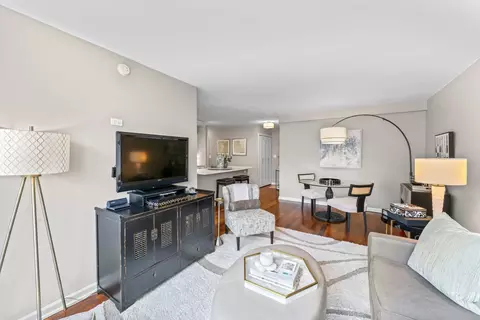 Living - 222 E Pearson St #1706, Chicago, IL 60611 photo 3 of 3