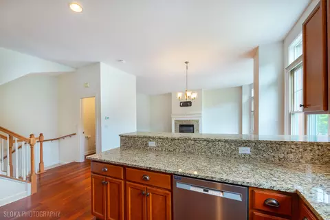 147 River Walk Ct, Elgin, IL 60120 photo 17