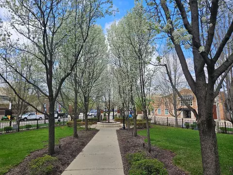 147 River Walk Ct, Elgin, IL 60120 photo 57
