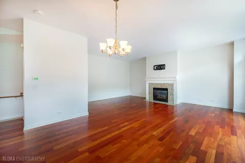 147 River Walk Ct, Elgin, IL 60120 photo 14