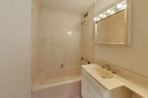 Bath - 1401 E 55th St #602N, Chicago, IL 60615 photo 3 of 3
