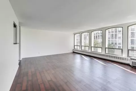 Living - 1401 E 55th St #602N, Chicago, IL 60615 photo 3 of 4