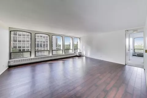 Living - 1401 E 55th St #602N, Chicago, IL 60615 photo 1 of 4