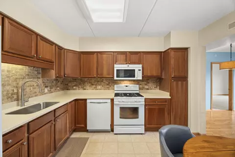 Kitchen - 1349 E Washington St #310A, Des Plaines, IL 60016 photo 3 of 3