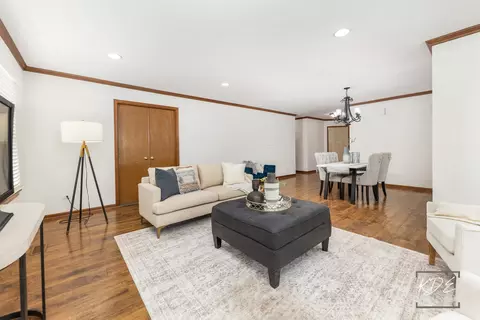 Living - 21210 Silktree Cir, Plainfield, IL 60544 photo 3 of 4