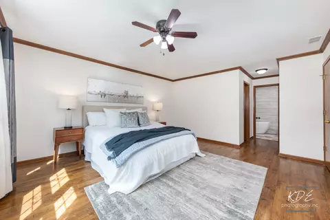 Bedroom - 21210 Silktree Cir, Plainfield, IL 60544 photo 2 of 3
