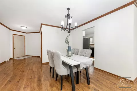 Other - 21210 Silktree Cir, Plainfield, IL 60544 photo 1 of 6