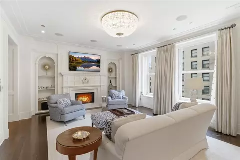 Living - 159 E Walton Pl #5B, Chicago, IL 60611 photo 1 of 4