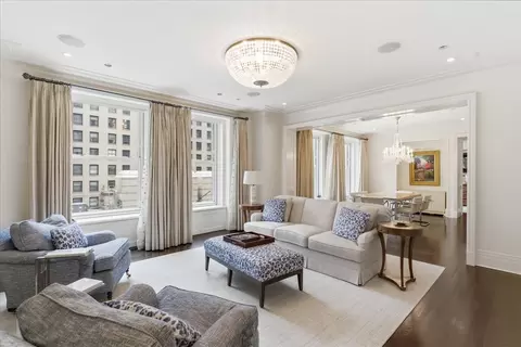 Living - 159 E Walton Pl #5B, Chicago, IL 60611 photo 2 of 4