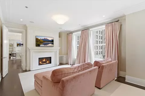 Living - 159 E Walton Pl #5B, Chicago, IL 60611 photo 4 of 4