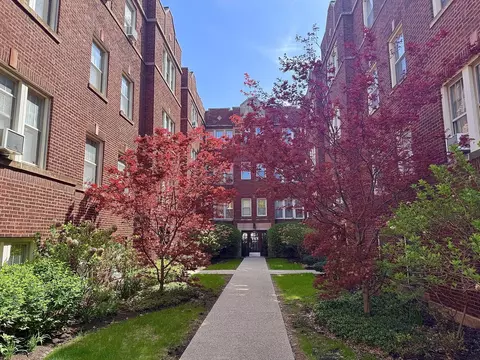 242 S Maple Ave #1W, Oak Park, IL 60302