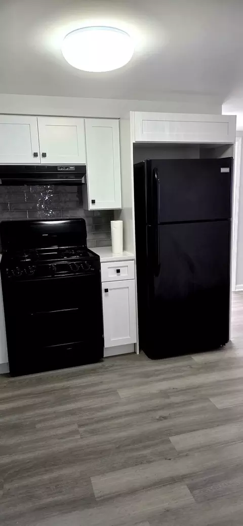 Kitchen - 522 S Sumner Ave, Aurora, IL 60505 photo 2 of 2