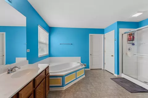 Bath - 24132 Norfolk Ln, Plainfield, IL 60585 photo 2 of 3