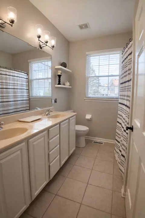 Bath - 1235 Mallard Ln, Hoffman Estates, IL 60192 photo 5 of 6