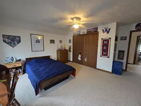 Bedroom - 610 E Main St, Ashkum, IL 60911 photo 3 of 5