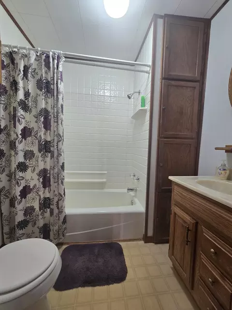 Bath - 610 E Main St, Ashkum, IL 60911 photo 1 of 6