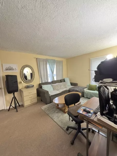 Living - 224 N Wolf Rd, Wheeling, IL 60090 photo 1 of 1