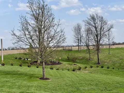 Exterior - 19455 Capp Rd, Morrison, IL 61270 photo 9 of 10