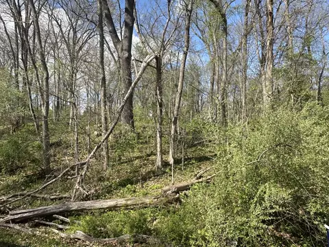 0 Lake Thunderbird Hls, Putnam, IL 61560